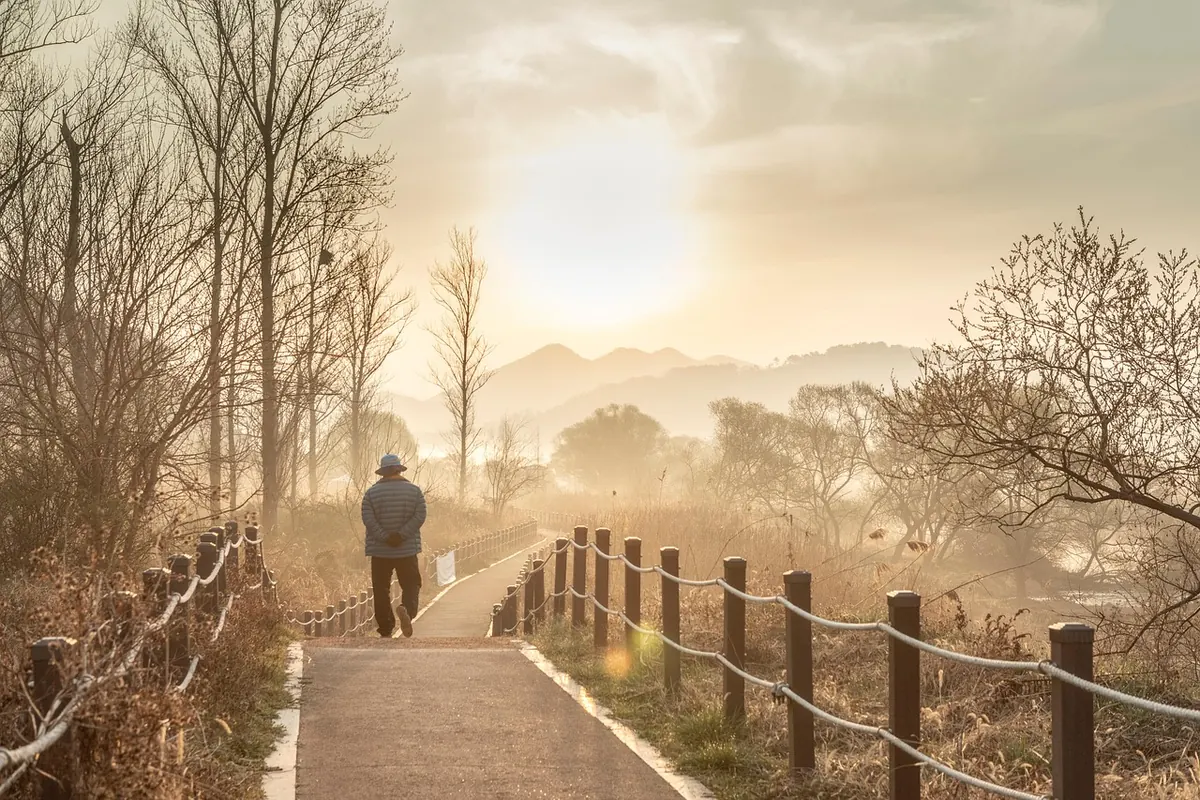Five Local Walks from Larch Court for Every Season