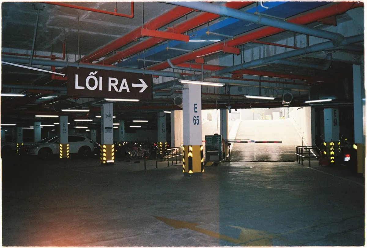 Visitor Parking at Larch Court: Rules, Permits and Etiquette